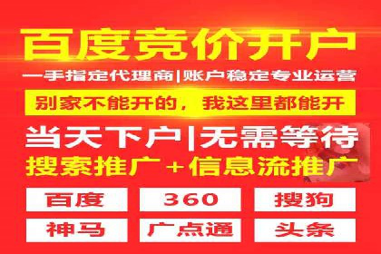 网络推广与竞价策略实战案例