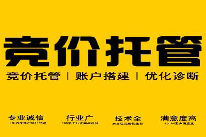 某某sem代运营推广公司成功案例：提升品牌曝光率